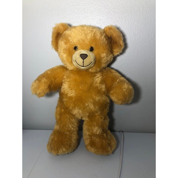 Build-A-Bear Read Bear - Picture 5 of 7